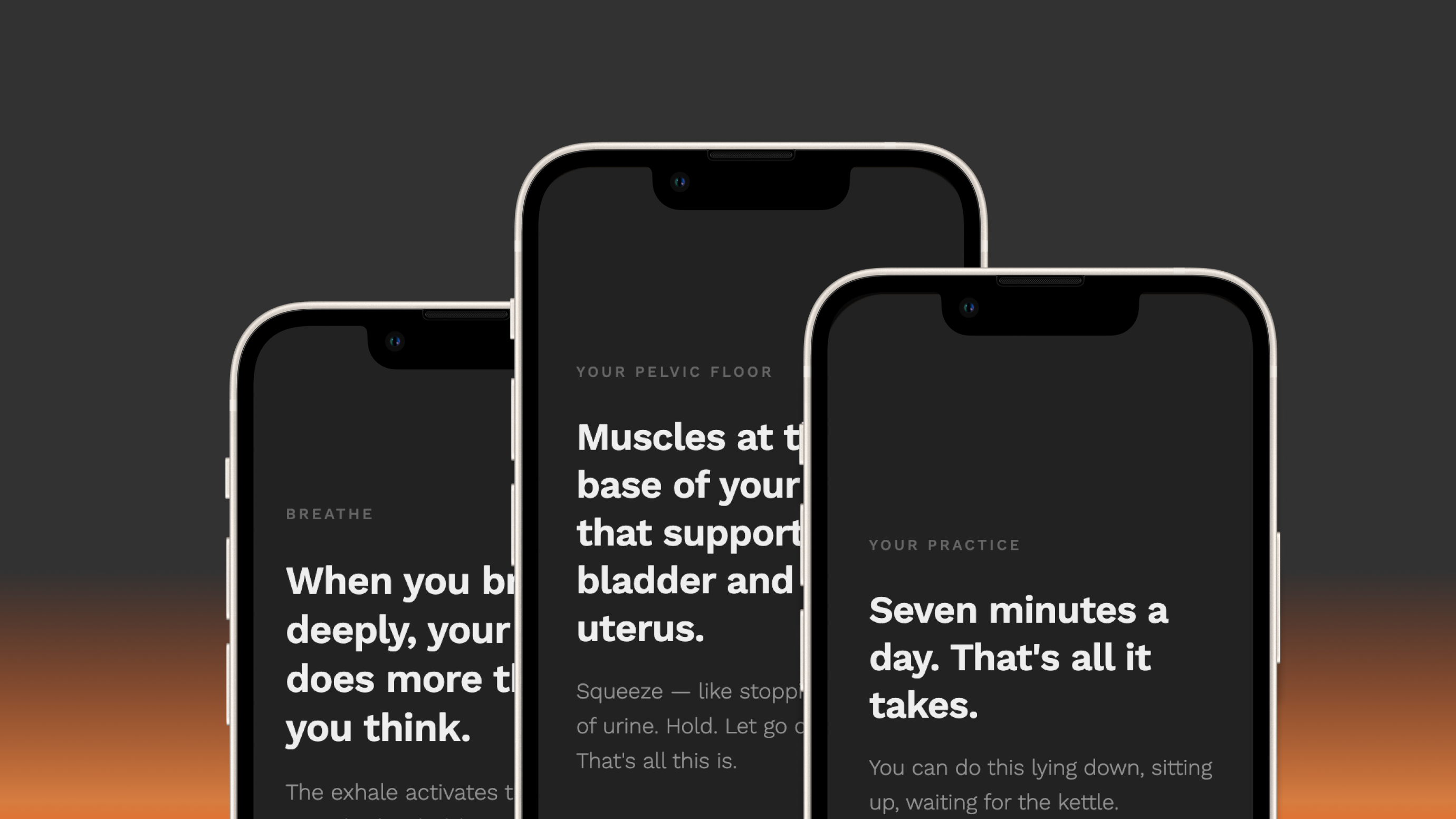 Revive — settings panel